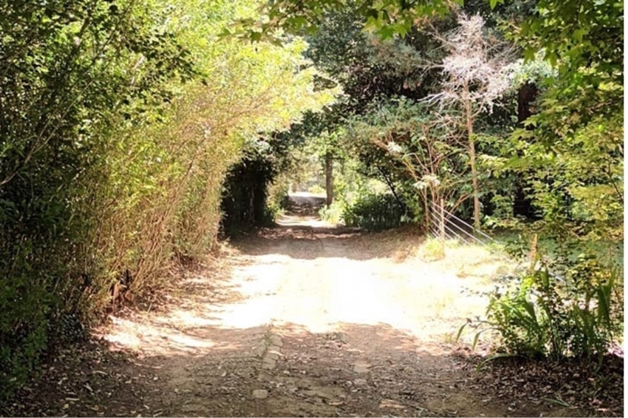 3 Bedroom Property for Sale in Hogsback Eastern Cape